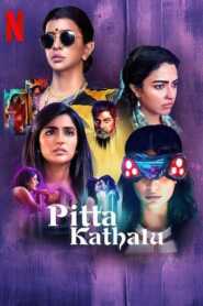 Pitta Kathalu (2021) Season 1 Hindi Dubbed (Netflix)