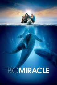 Big Miracle 2012 Hindi Dubbed