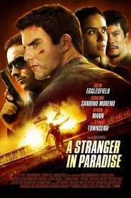A Stranger In Paradise 2013 Hindi Dubbed