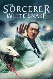 The Sorcerer and the White Snake (2011) Hindi Dubbed