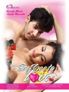 Say Yes to Love (2012) Hindi