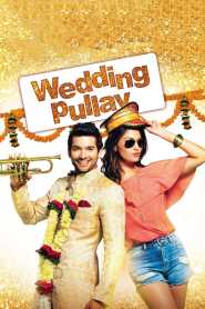 Wedding Pullav 2015 Hindi