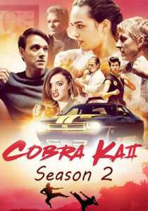 Cobra Kai (2019) Season 2 Hindi Dubbed