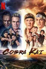 Cobra Kai (2021) Season 4 Hindi Dubbed