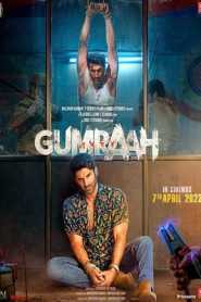 Gumraah (2023) Hindi HD