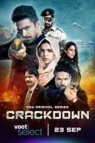 Crackdown (2020) Hindi Season 1